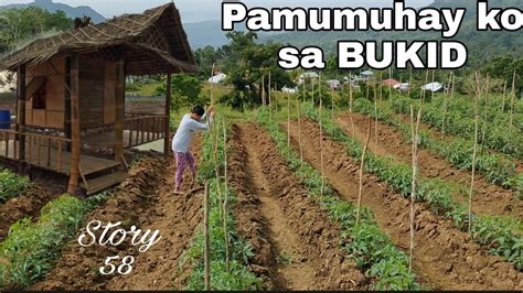 pinay kinantot sa bukid